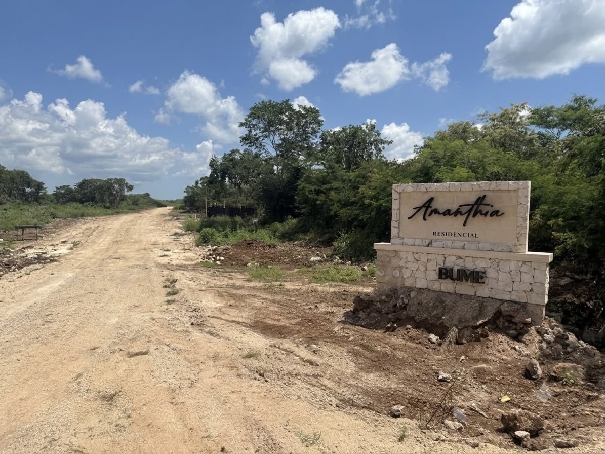 Conoce un poco más de Amanthia